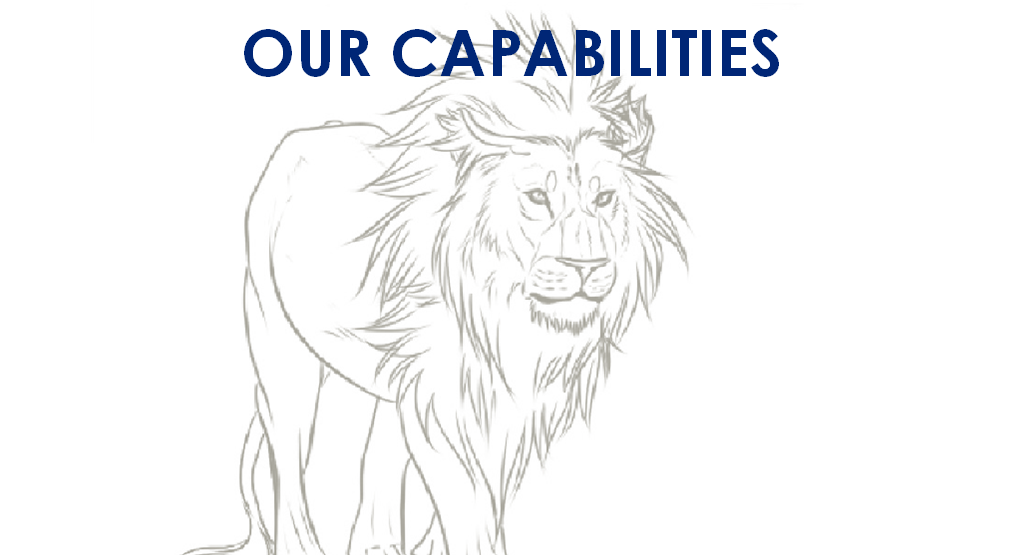 EL Capabilities background
